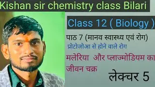 कक्षा 12 बायोलॉजी मानव स्वास्थ्य एवं रोग मलेरिया रोग (मलेरिया परजीवी का जीवन चक्र) 