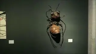 Exposici&oacute;n 