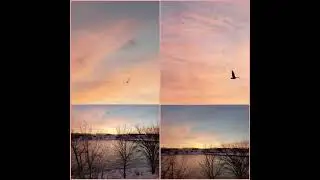 2022 Winter Sunrise Down By The River Photo Collages Slideshow