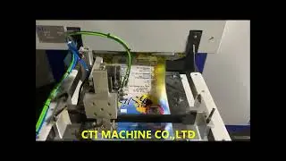 P313TD-Fully Auto Sunflower Seeds Pistachio Packing Machine-CTI Machine Co.,Ltd-ALLMA.NET