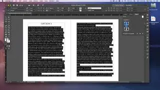 ART 316 - Page Layout Options Exercise