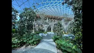 Entering Hamad International Airport’s garden of delight