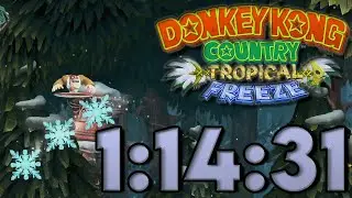 [WORLD RECORD] DKC: Tropical Freeze Any% Death Abuse Speedrun in 1:14:31