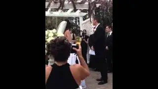 Lea and Brian Leibowitz Wedding