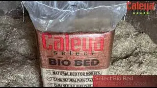 SELECT BIO BED | CALEYA