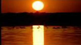 Nature Montage 1 (License to chill)
