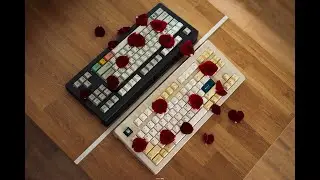RAMA U80 Seq2 x Zilents v2 (HHKB Hybrid Pro Type-S initial comparison)