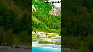 Gilgit Baltistan beauty 😍 || #youtubeshorts #love #viral #naturalbeauty #foryou
