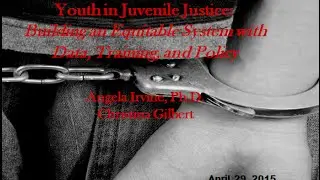 LGBT/Gender Nonconforming Youth in Juvenile Justice Building an Equitable System