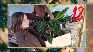 NAAR HET TUINCENTRUM VOOR PLANTJES 🎄// VLOGMAS #18 - 2020