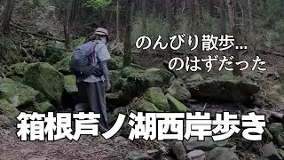 神奈川の山に登ってみる【箱根芦ノ湖西岸散歩】笹薮だらけの山歩、もうここは歩かないと思う（笑）ここでしか見られない景色もありました【初心者OK】