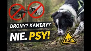 Psy Kontra Drony | Rzeczywistość walki z ASF