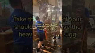 Get Professional Movers To Handle The Heavy Lifting 💪 #furniture #movingcompany #movingtips #moving
