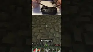 Hamster07 experiences existential dread #shorts #minecraft #minecraftshorts