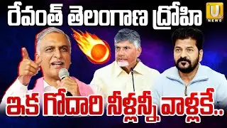 EX Minister Harish Rao Fires On CM Revanth Reddy | రేవంత్‌ తెలంగాణ ద్రోహి | AP Telangana Water Issue