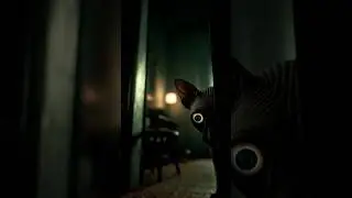 SCP-040-JP - There's a Cat Here #scp #scpfoundation #anomalies #monsters #scpfoundation #mysticis...
