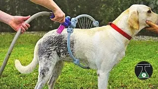 10 INSANE Pet Toys & Gadgets You Must Have ▶ 19