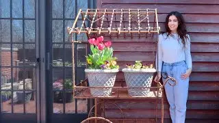 Adding Vertical Space & Rearranging My Garden