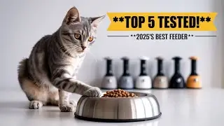 FEEDING FAIL? 🤯 The Top 5 Automatic Cat Feeders of 2025 (Tested & Ranked)