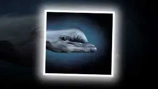 Handimals by Guido Daniele - Amazing Animal Hand Paintings