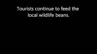 pengies 1.wmv