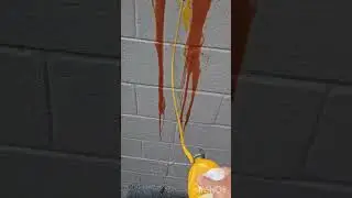 TINTA IMPERMEABILIZANTE 0 SUJEIRA E MOFO | SMART COLOR FINISH DRYLEVIS
