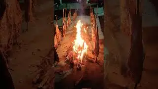 Grilled Fish live