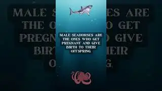 Unbelievable Marine Life Fun Facts! 🌊🐠 Part Unbelievable Marine Life Fun Facts! Part 16