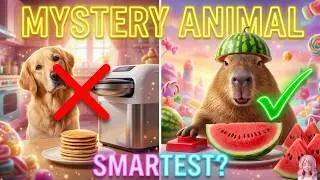 [ASMR] Mystery Animal Vending Machine - Who's the smartest? 🐾🍔