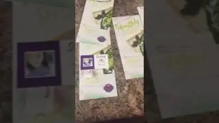 Scentsy SOTM flyers!!!