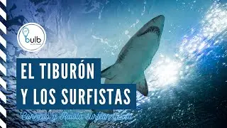 CONEXOO y Raiola surfean la ola. El tibur&oacute;n 🦈