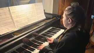 Enjoy a mash-up of The Little Drummer Boy and O Christmas Tree performed by Aria Squires!  