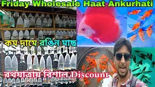 Ankurhati Pet Market | Howrah Aquarium Fish Haat | Pet Shop Near Me | Farm Fishery | Pet Market