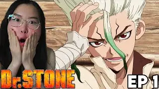 THE BEST FIRST EPISODE?!! Dr. STONE Episode 1 REACTION
