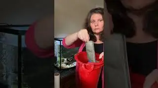 Cleaning Fish Tank ( Aquarium )