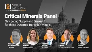 Critical Minerals Panel: Navigating Supply and Demand for these Dynamic Transition Metals
