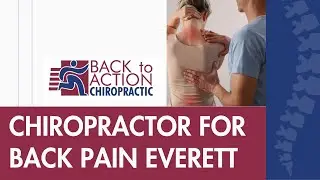 Chiropractor For Herniated Disc Everett