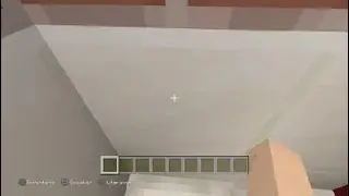 Minecraft: SWxMarley start his city