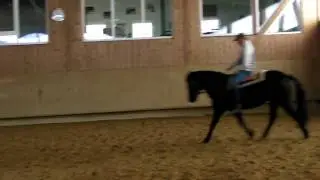Ralf riding Nicki Walhausen February 2010