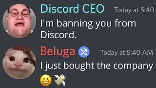 When Beluga Buys Discord...