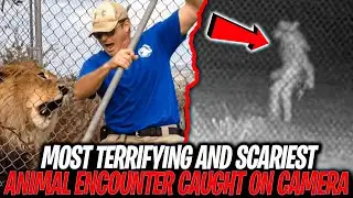 10 Shocking Animal Encounters That Will Make Your Jaw Drop!