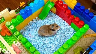 🐹 Hamster Maze in Legoland Puzzle Challenge Obstacle Course for Hamster Level 15