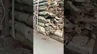 Bamboo Shiping All Over India Contact 9643559932