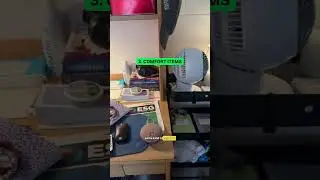 Top 3 Dorm Essentials from a College Freshman