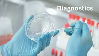 Your Trusted Diagnostics Partner &ndash; DocNetz