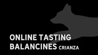 Online Tasting: Pago los Balancines Crianza