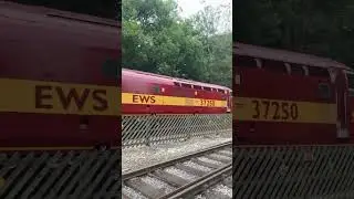 KWVR Diesel Gala #trains #train #railway #dieseltrains