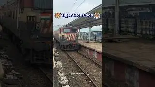 🐯 Tiger Face Locomotive 🐯 #tiger #face #wag5 #locomotive #shorts #indianrailways #ytshorts