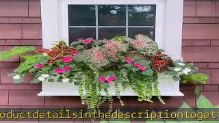 Mayne Fairfield 3-Foot Window Box &ndash; Self-Watering, Weather-Resistant Planter for Flowers &ndash; Durable