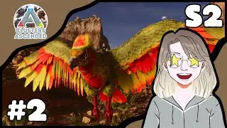 L'argentavis MCDONALD ! #2 [S2] [ARK CLUSTERS ASCENDED]